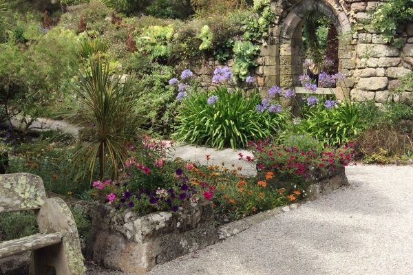 best Cornwall Gardens Tresco Abbey Gardens