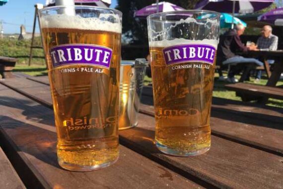 The 15 Best Things To Do In St Austell Cornwalls Best the-15-best-things-to-do-in-st-austell-cornwalls-best