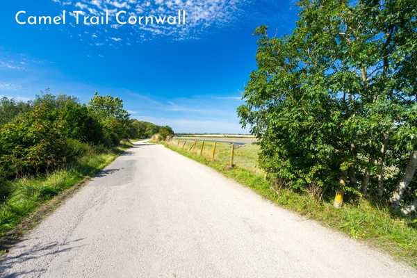 Camel Trail Cornwall