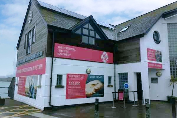 National Lobster Hatchery in Padstow, Cornwall