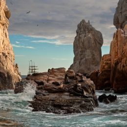 Lands End Seal Colony