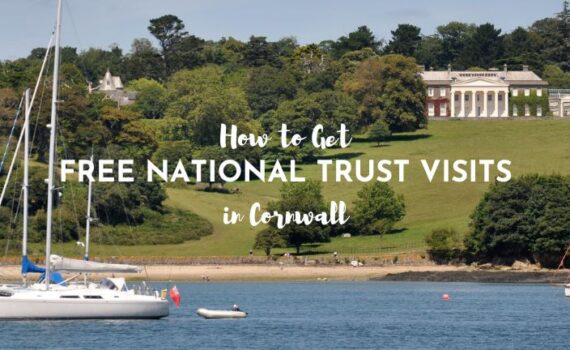 Trelissick Gardens View